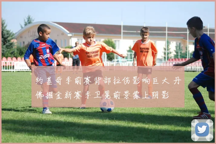 约基奇季前赛背部拉伤影响巨大 丹佛掘金新赛季卫冕前景蒙上阴影