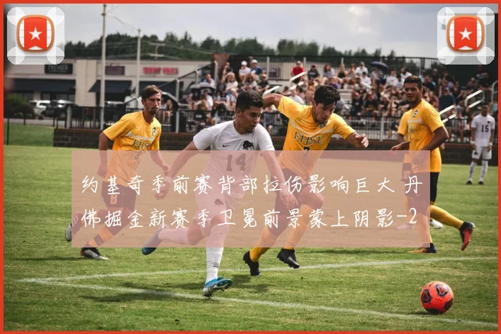 约基奇季前赛背部拉伤影响巨大 丹佛掘金新赛季卫冕前景蒙上阴影