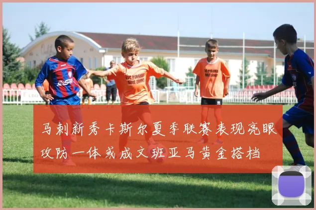 马刺新秀卡斯尔夏季联赛表现亮眼攻防一体或成文班亚马黄金搭档