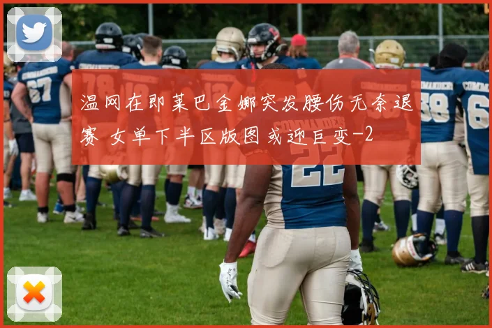 温网在即莱巴金娜突发腰伤无奈退赛 女单下半区版图或迎巨变